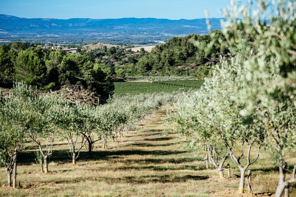 Domaine Calmel & Joseph Villa Montirat  Exterior photo