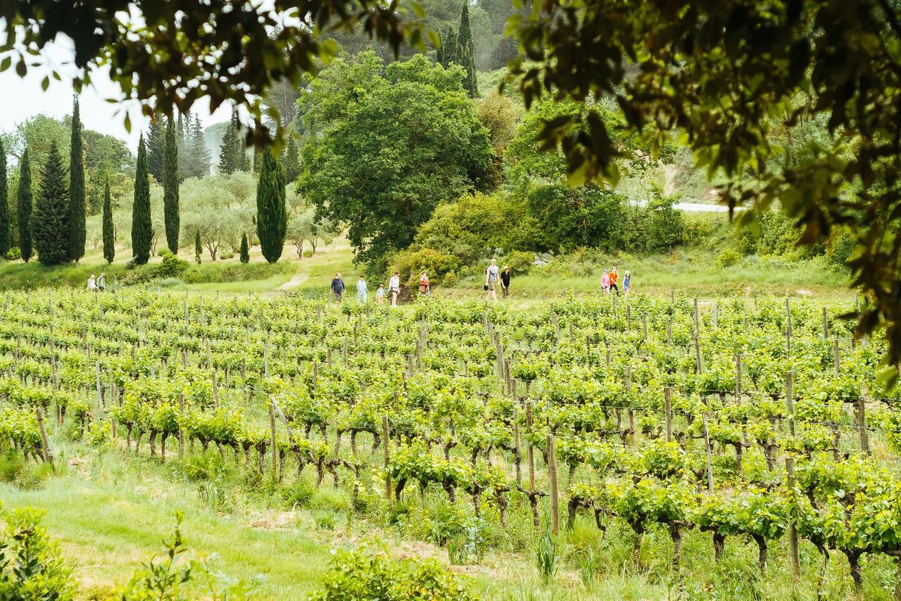 Domaine Calmel & Joseph Villa Montirat  Exterior photo
